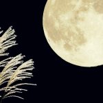 中秋の名月とは？お月見の由来とお月見に供える物の意味！